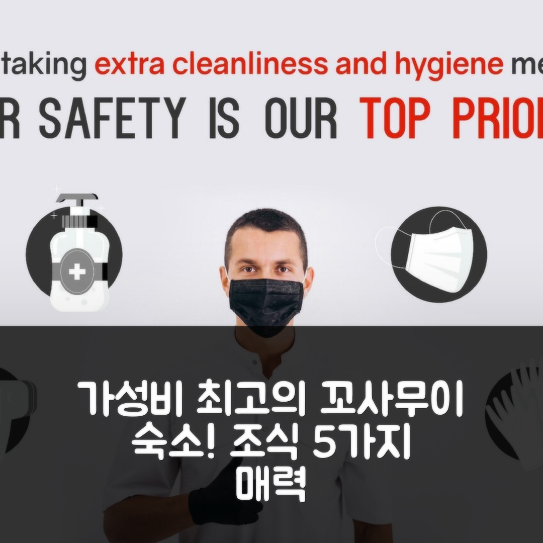 꼬사무이 숙소 여행 호텔 추천 마이 리빙 플레이스 나톤 | 가성비와 조식이 매력적인 5가지 이유