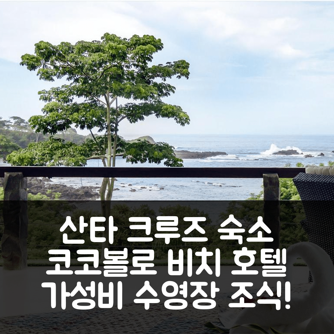 산타 크루즈 숙소 여행 호텔 추천 코코볼로 비치 부티크 호텔 | 수영장이 있는 가성비 5가지 조식 팁