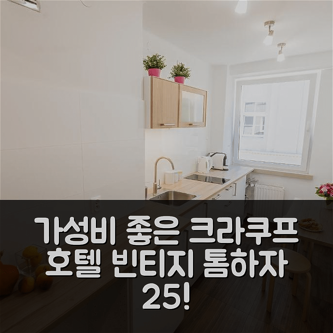 크라쿠프 숙소 여행 호텔 추천 빈티지 토마자 25 아파트 | 가성비 좋은 4성급 조식 및 위치 정보 5가지