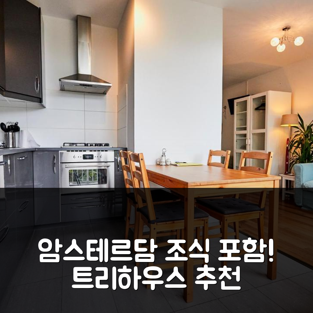 암스테르담 숙소 여행 호텔 추천 트리하우스 인 | 조식과 가성비가 뛰어난 5가지 이유