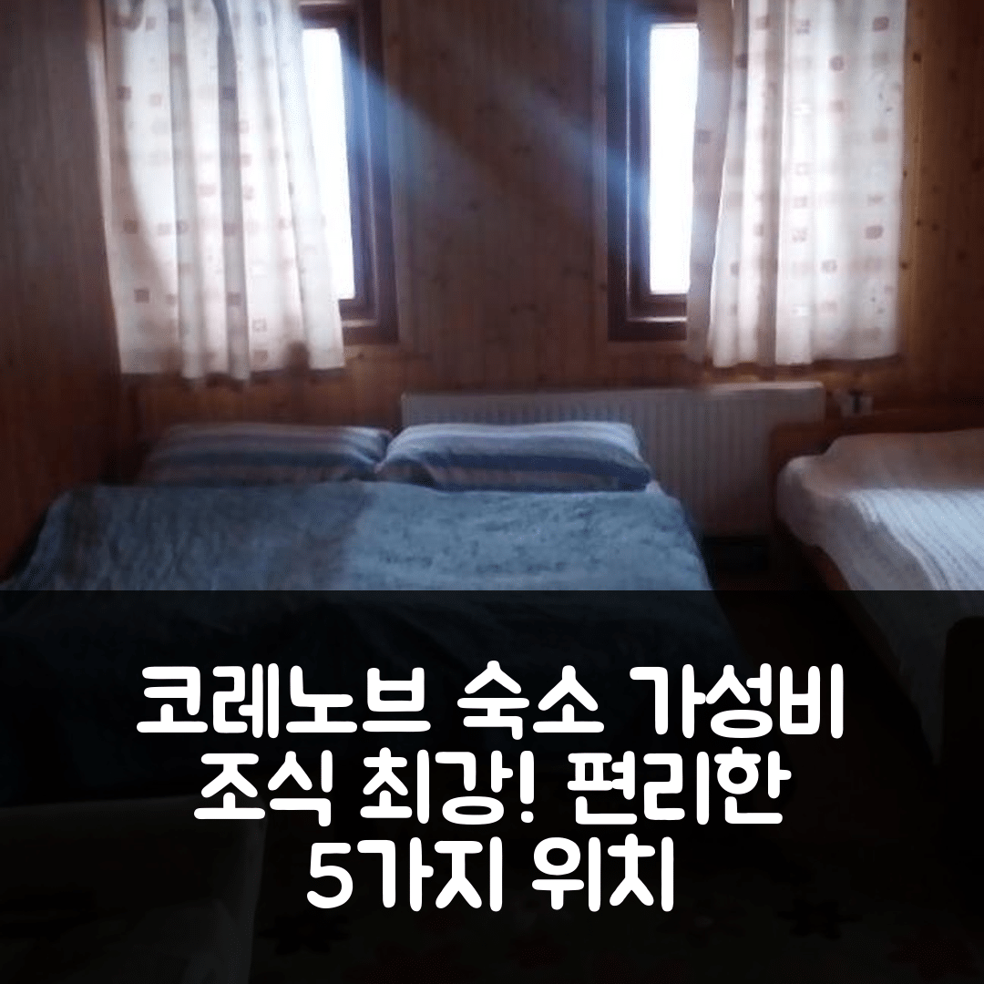 코레노브 숙소 여행 호텔 추천 게스트 하우스 레오나 | 가성비 높은 조식과 편리한 위치 5가지