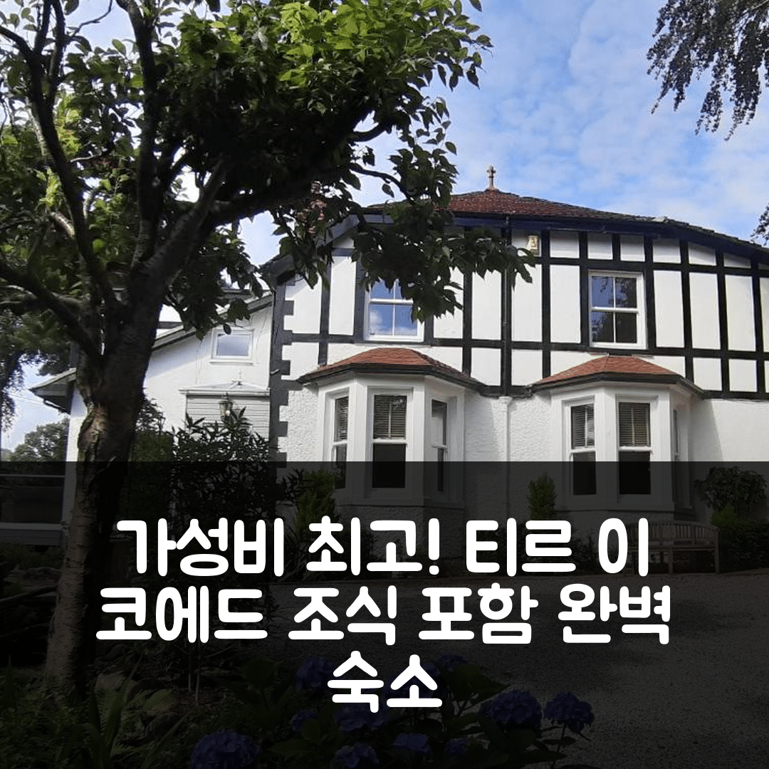 콘위 숙소 여행 호텔 추천 티르 이 코에드 컨트리 하우스 | 조식과 가성비 최고의 5가지 이유