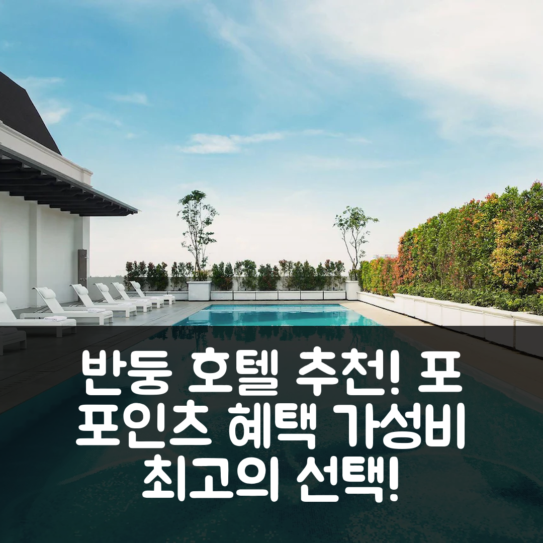 반둥 숙소 여행 호텔 추천 포 포인츠 바이 쉐라톤 반둥 | 조식과 수영장 및 가성비 좋은 7가지 이유