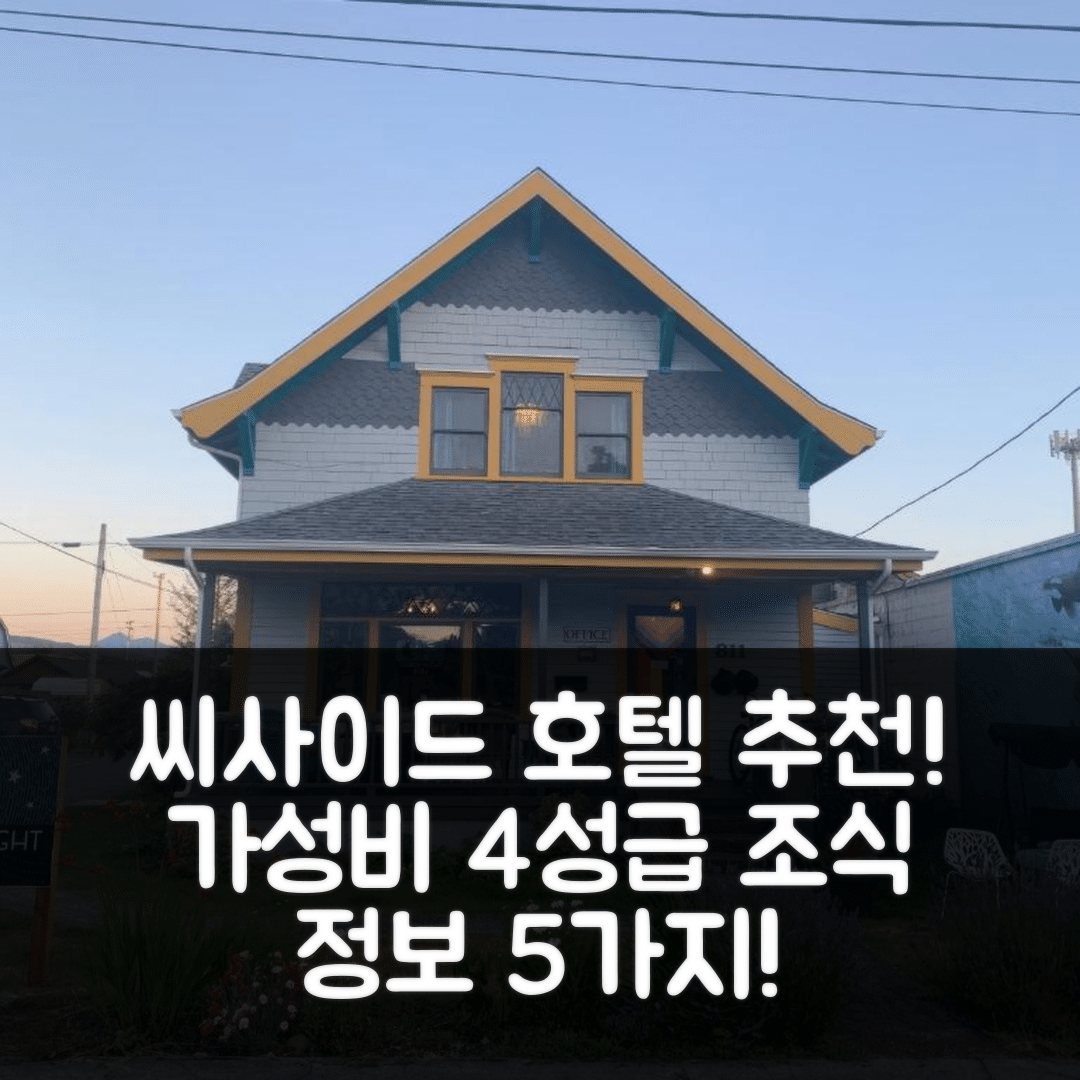 씨사이드 숙소 여행 호텔 추천 스타리 나이트 인 | 가성비 뛰어난 4성급 위치와 조식 정보 5가지