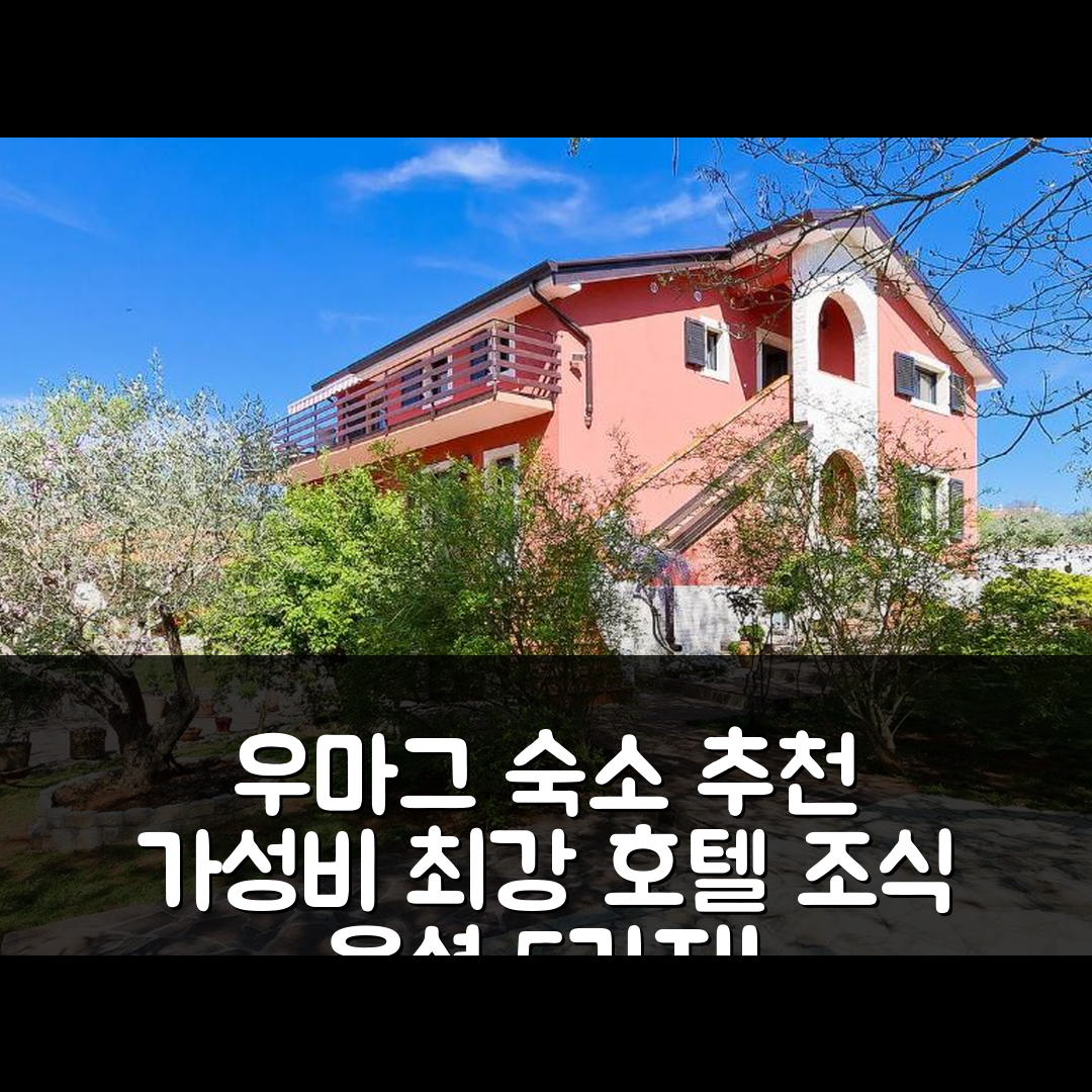 우마그 숙소 여행 호텔 추천 아파트 마이다 바이 인터홈 | 가성비 뛰어난 위치와 조식 옵션 5가지 팁