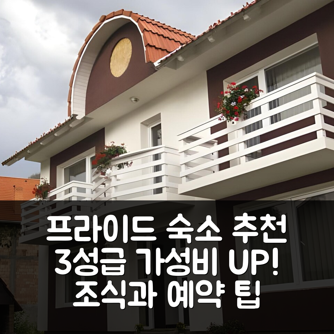 프라이드 숙소 여행 호텔 추천 졸탄 앤 에리카 판지오 | 3성급 가성비와 조식이 뛰어난5가지 예약 팁