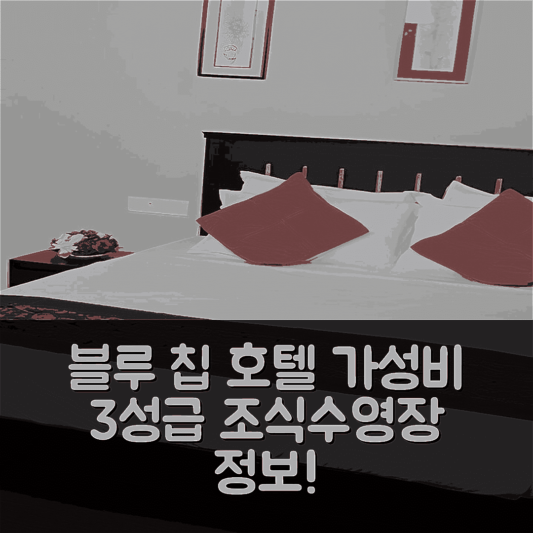 코치 숙소 여행 호텔 추천 호텔 블루 칩 | 가성비 뛰어난 3성급 조식과 수영장 정보 5가지