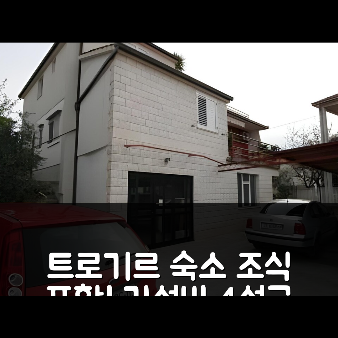 트로기르 숙소 여행 호텔 추천 아파트먼트 쿠델릭 | 조식과 가성비 좋은 4성급 위치 및 예약 팁 5가지