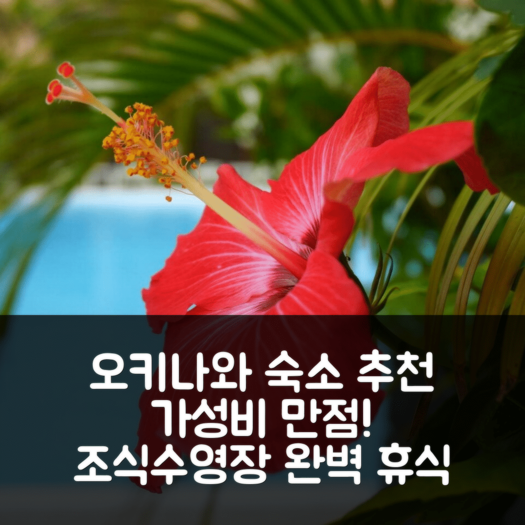 오키나와 본섬 숙소 여행 호텔 추천 콘도미니엄 유유키 | 가성비와 조식, 수영장으로 즐기는 완벽한 휴식 7가지 팁
