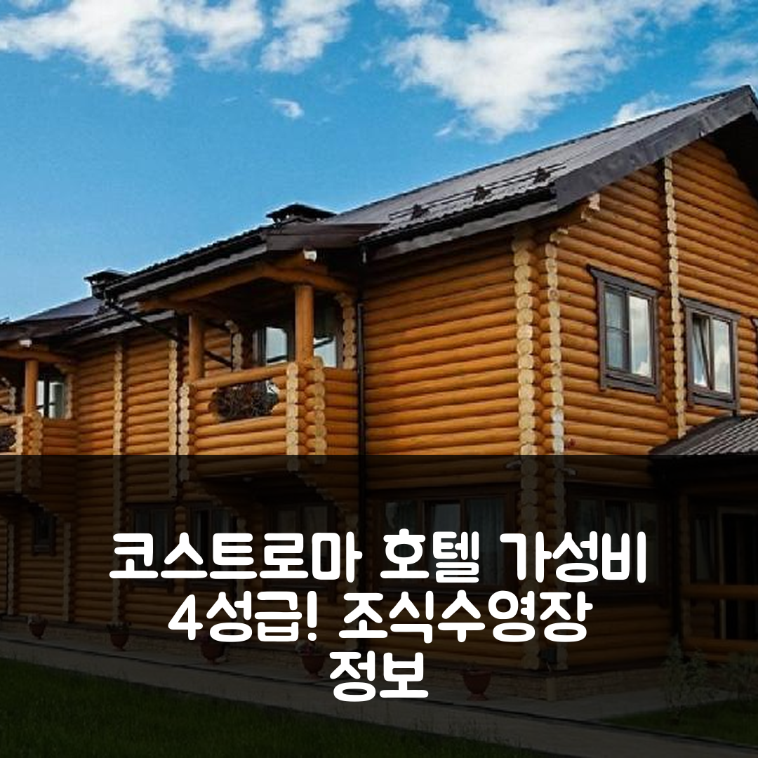 코스트로마 숙소 여행 호텔 추천 미니호텔 나비게이터 | 가성비 있는 4성급 조식과 수영장 정보 7가지
