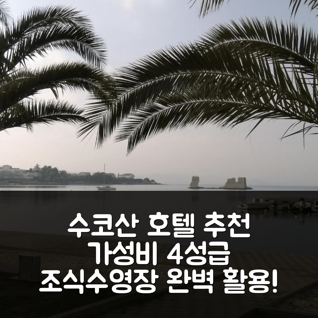 수코산 숙소 여행 호텔 추천 샤치 1 호텔 | 가성비 좋은 4성급 조식 및 수영장 완벽 활용법 7가지