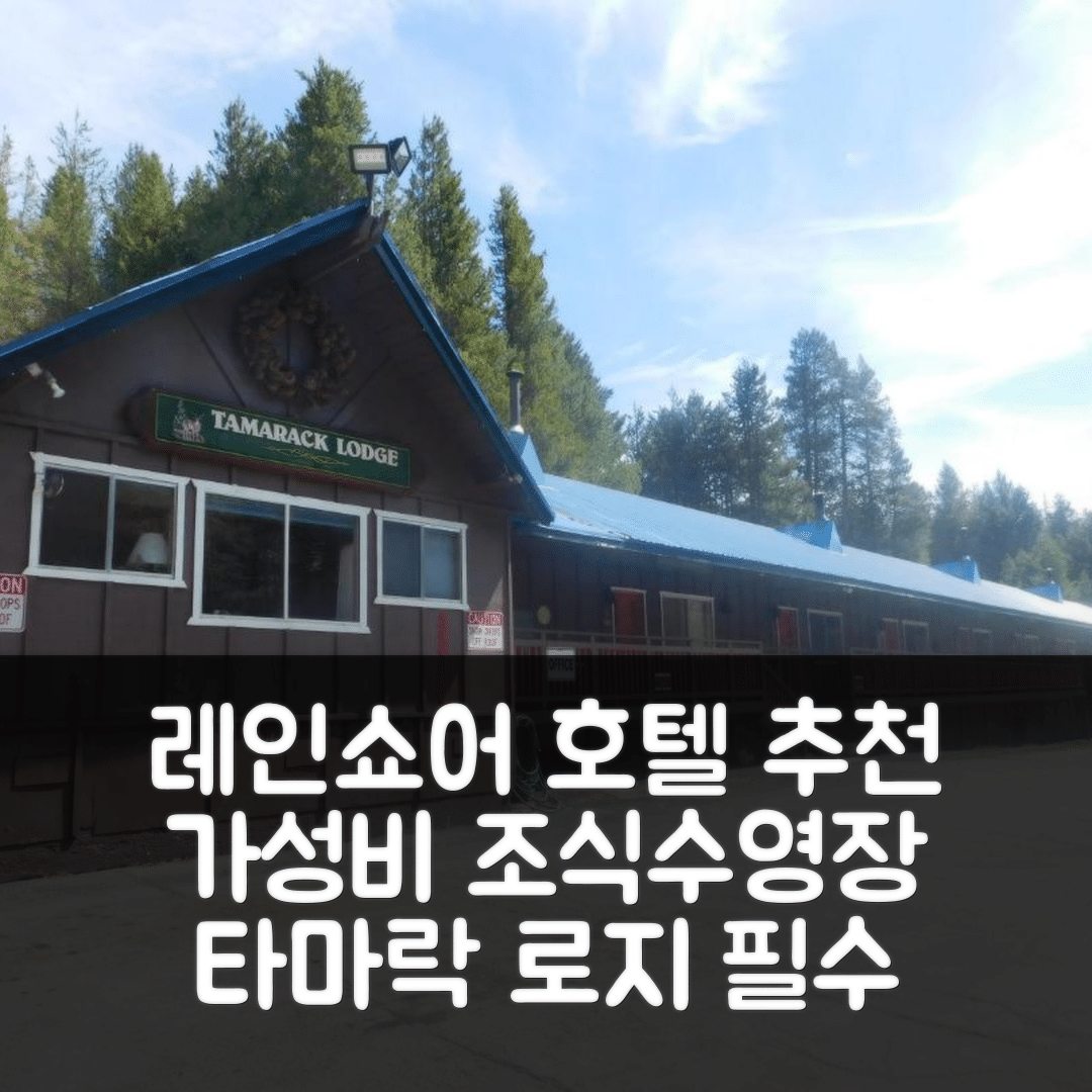 레이크쇼어 숙소 여행 호텔 추천 타마락 로지 | 가성비 뛰어난 조식과 수영장 정보 5가지