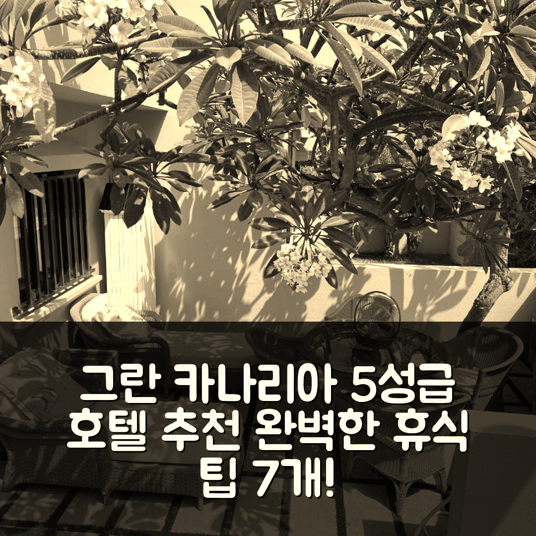 그란 카나리아 숙소 여행 호텔 추천 멜로네라스 | 5성급 조식과 수영장으로 즐기는 완벽한 휴식 7가지 팁