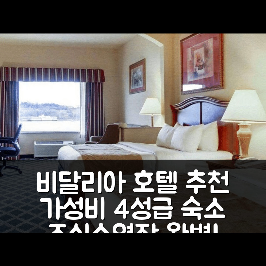 비달리아 숙소 여행 호텔 추천 클라리온 스위트 | 가성비 뛰어난 4성급 조식과 수영장 정보 7가지