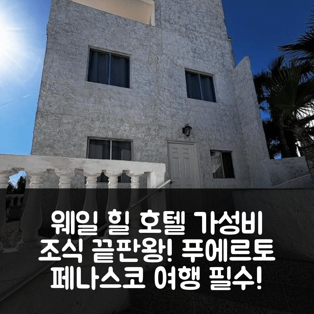 푸에르토 페나스코 숙소 여행 호텔 추천 웨일 힐 | 가성비와 조식이 뛰어난 4성급 위치 및 예약 팁 5가지