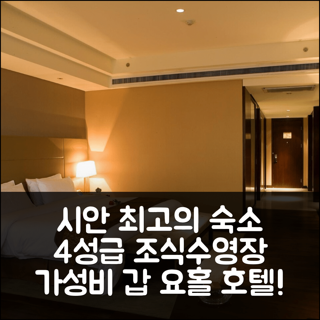 시안 숙소 여행 호텔 추천 시안 요홀 호텔 | 4성급 조식과 가성비 뛰어난 위치 및 수영장 특혜 7가지