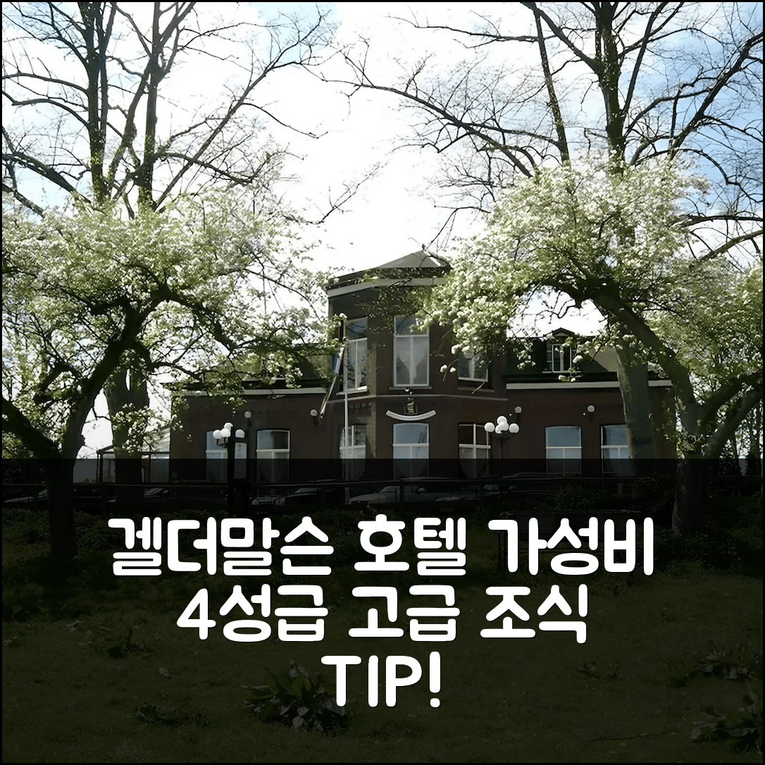 겔더말슨 숙소 여행 호텔 추천 드 오스 앤 헷 파르드 | 가성비 뛰어난 4성급 조식과 위치 정보 7가지