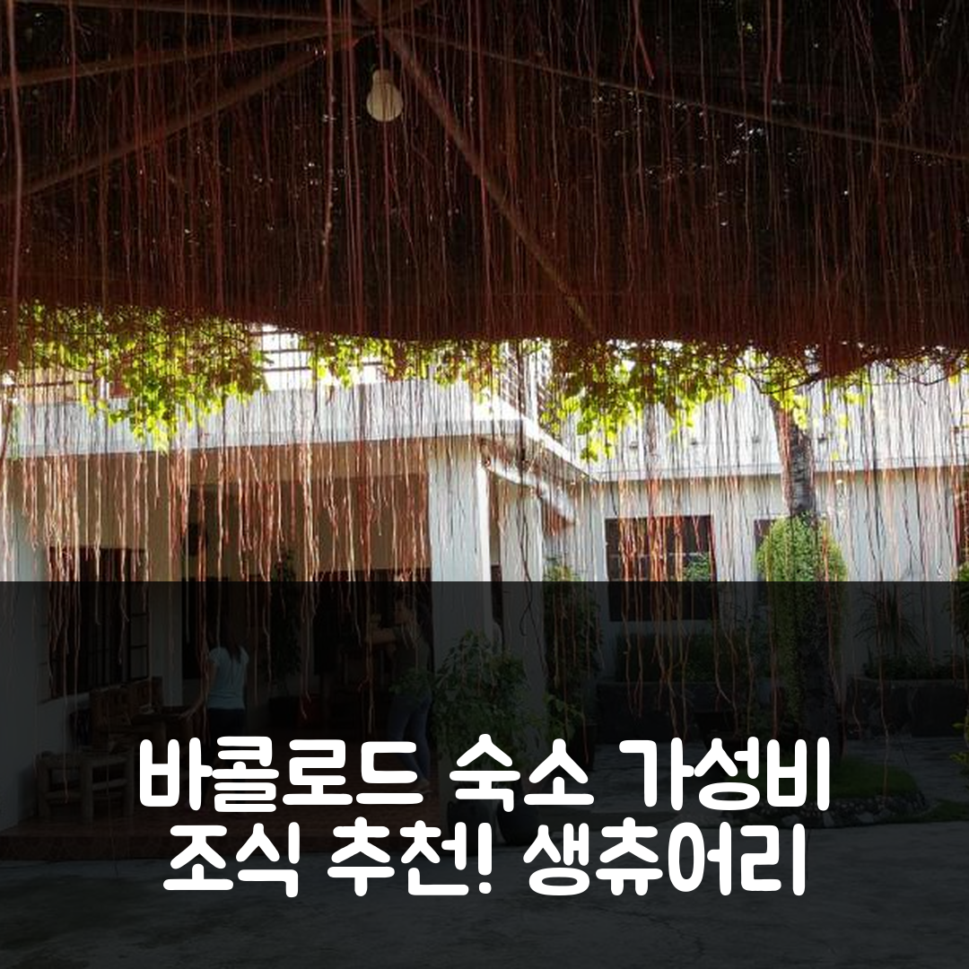 바콜로드 숙소 여행 호텔 추천 생츄어리 트랜지언트 하우스 | 가성비 뛰어난 위치와 조식 제공(가격 3가지